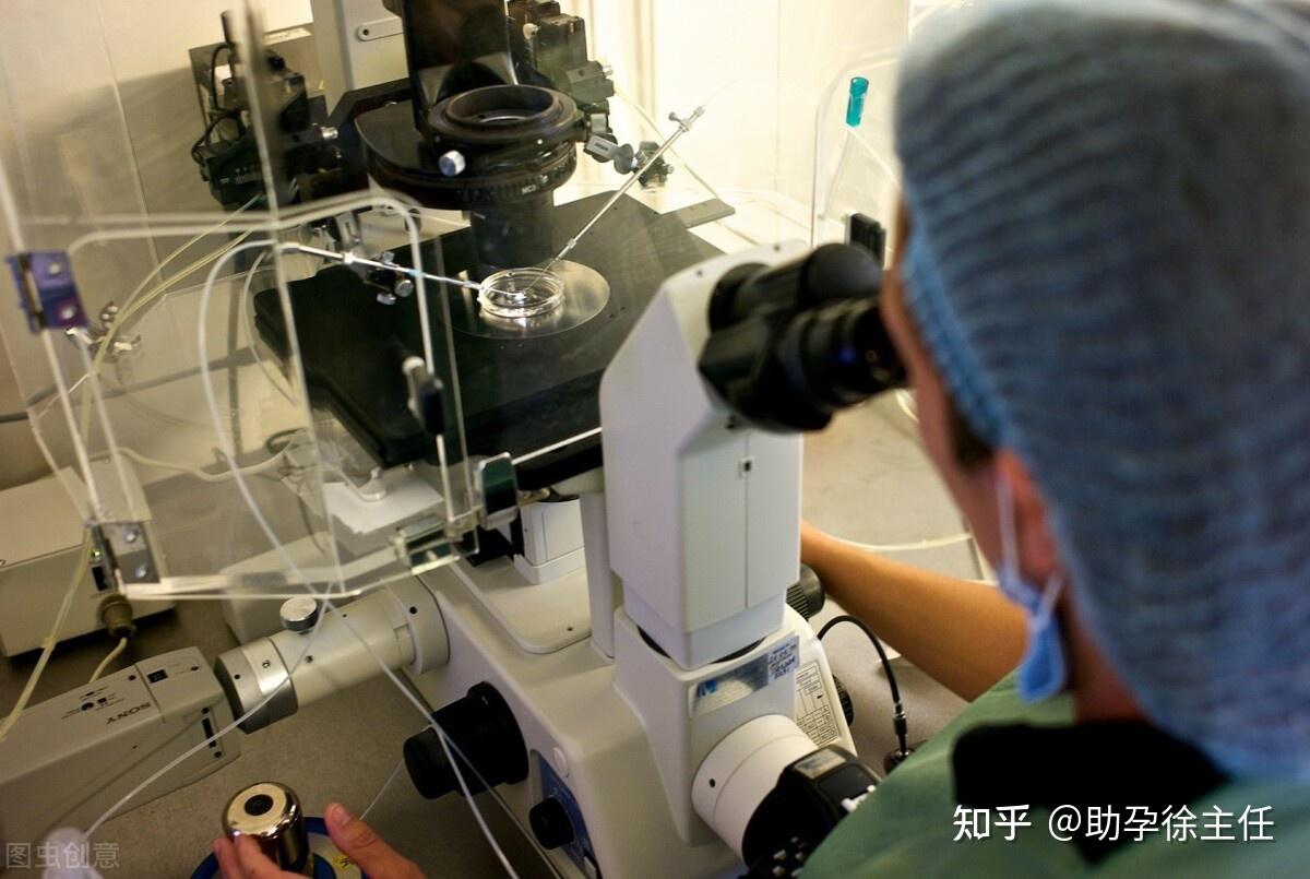 试管婴儿重复周期次数