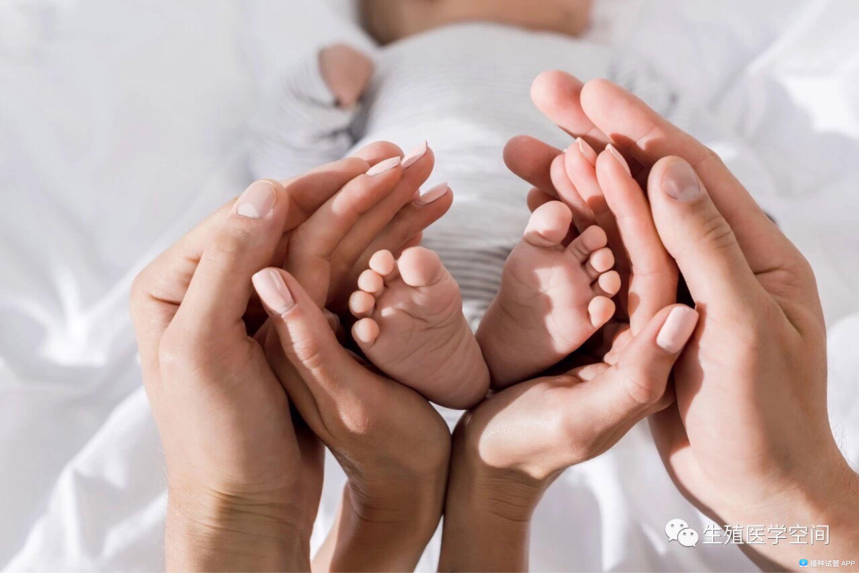 试管婴儿辅助生育技术与准生证办理流程解读