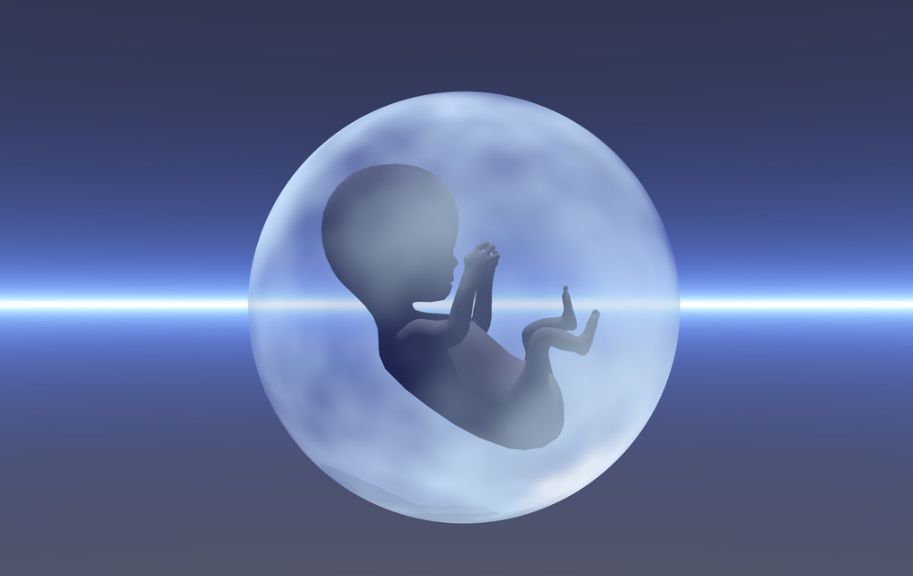 试管流程 优化策略