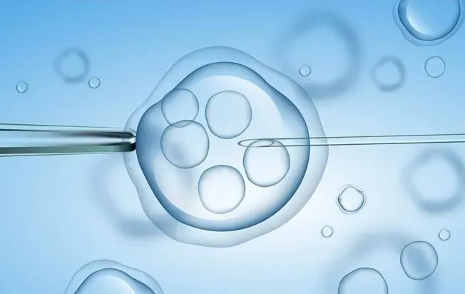 试管的制作工艺