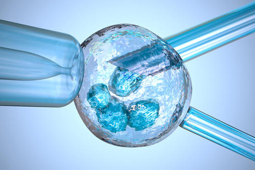 试管平台 --＞ 实验效率