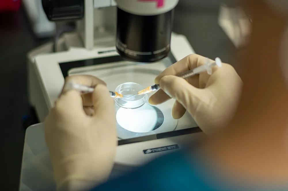 试管婴儿辅助生殖技术中男性精子采集方法研究进展