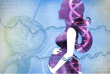 试管的婴儿要多少钱